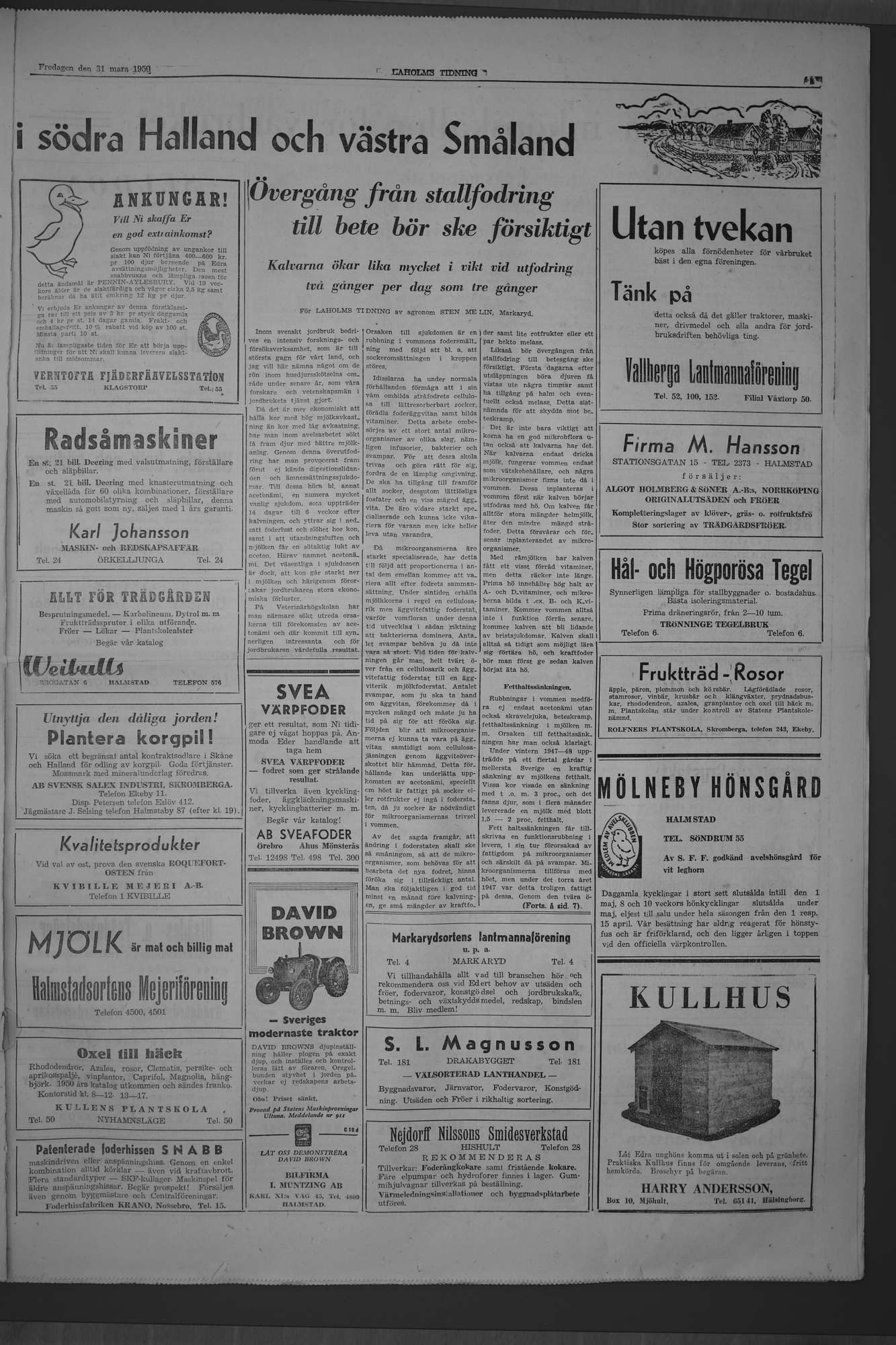 Laholms Tidning Fredag 31 mars 1950, sida 5