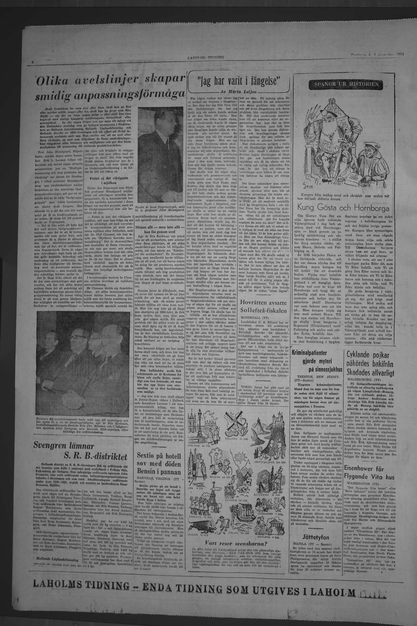 Laholms Tidning Fredag 3 december 1954, sida 6