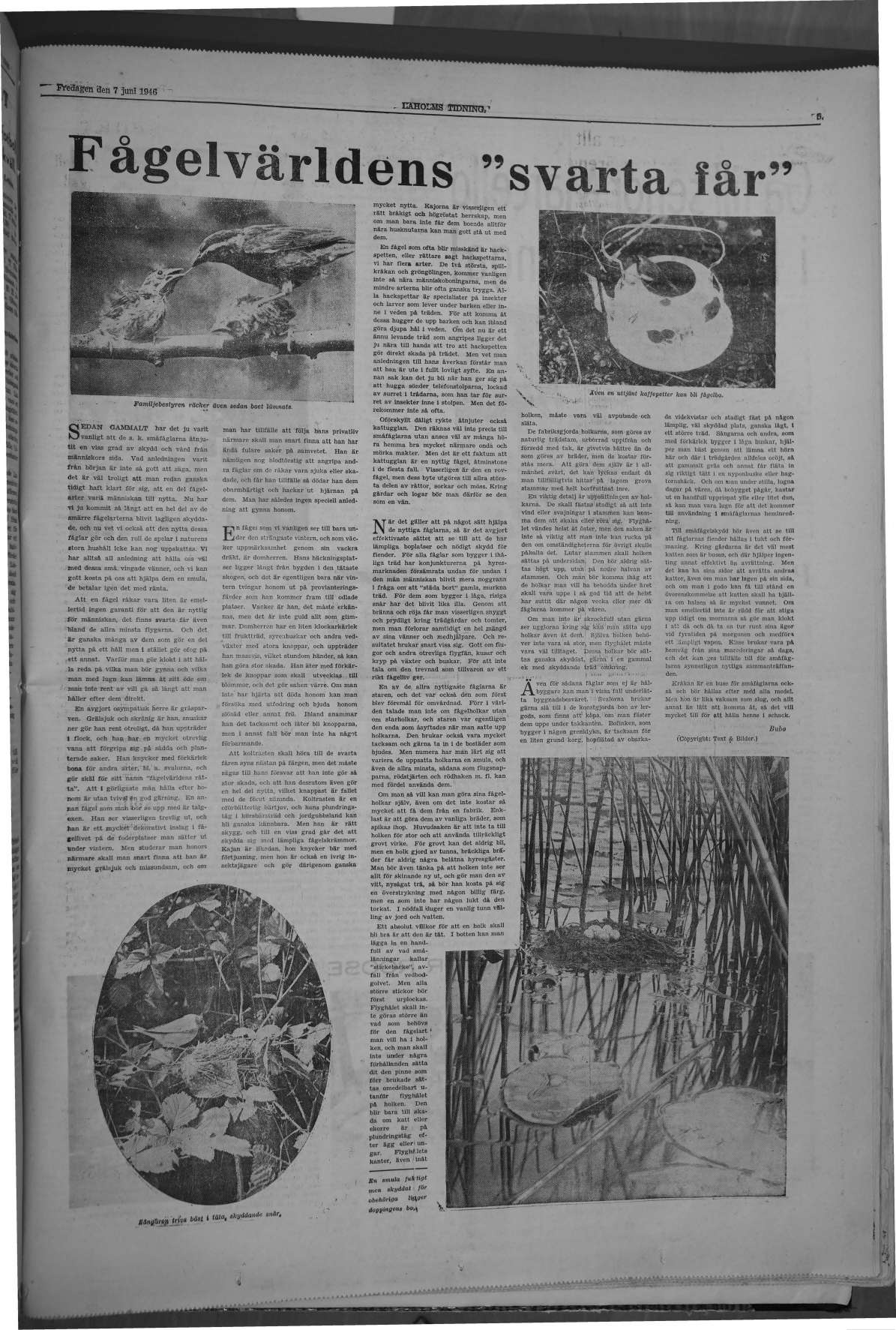 Laholms Tidning Fredag 7 juni 1946, sida 7