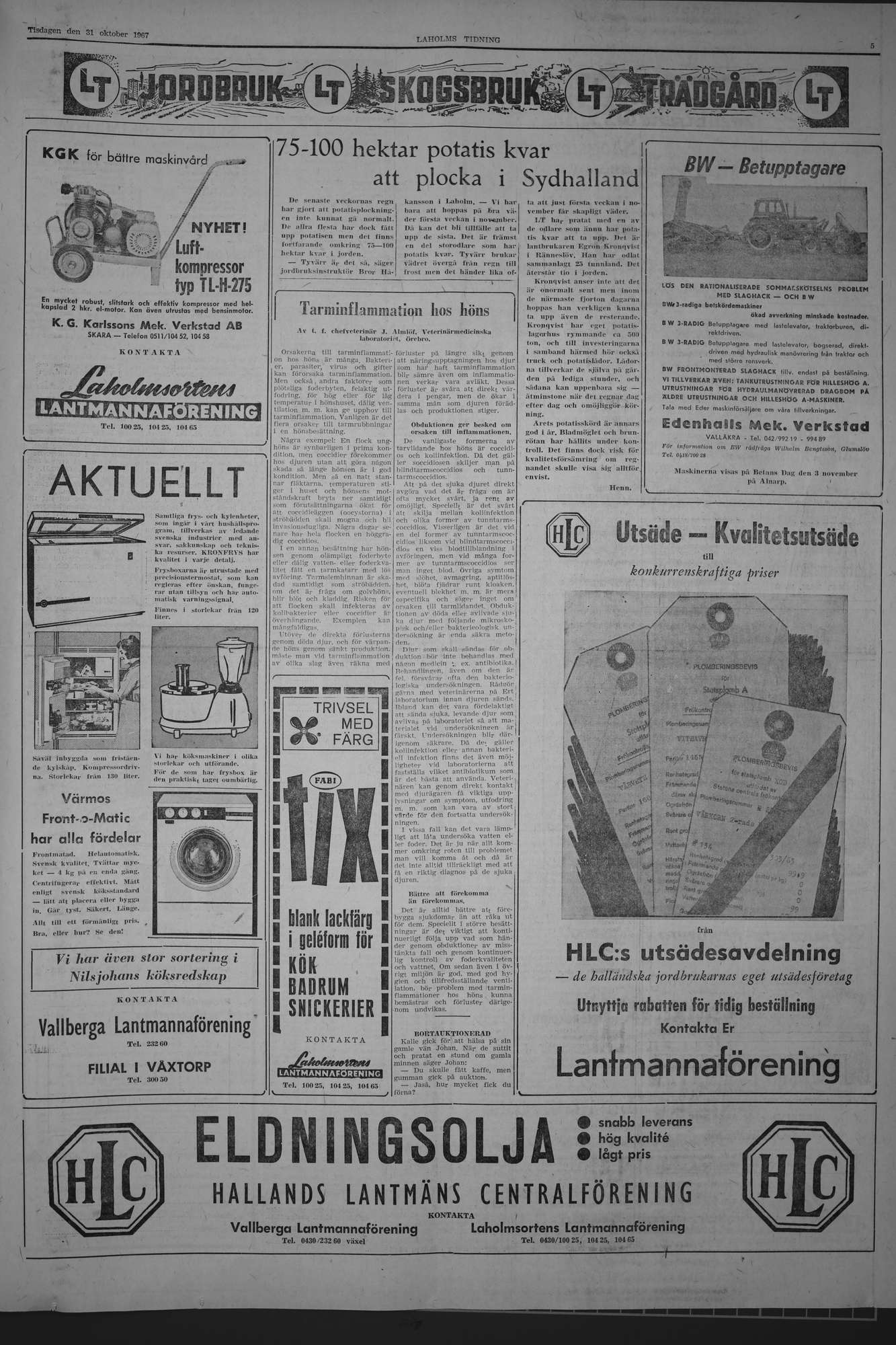 Laholms Tidning Tisdag 31 oktober 1967, sida 5