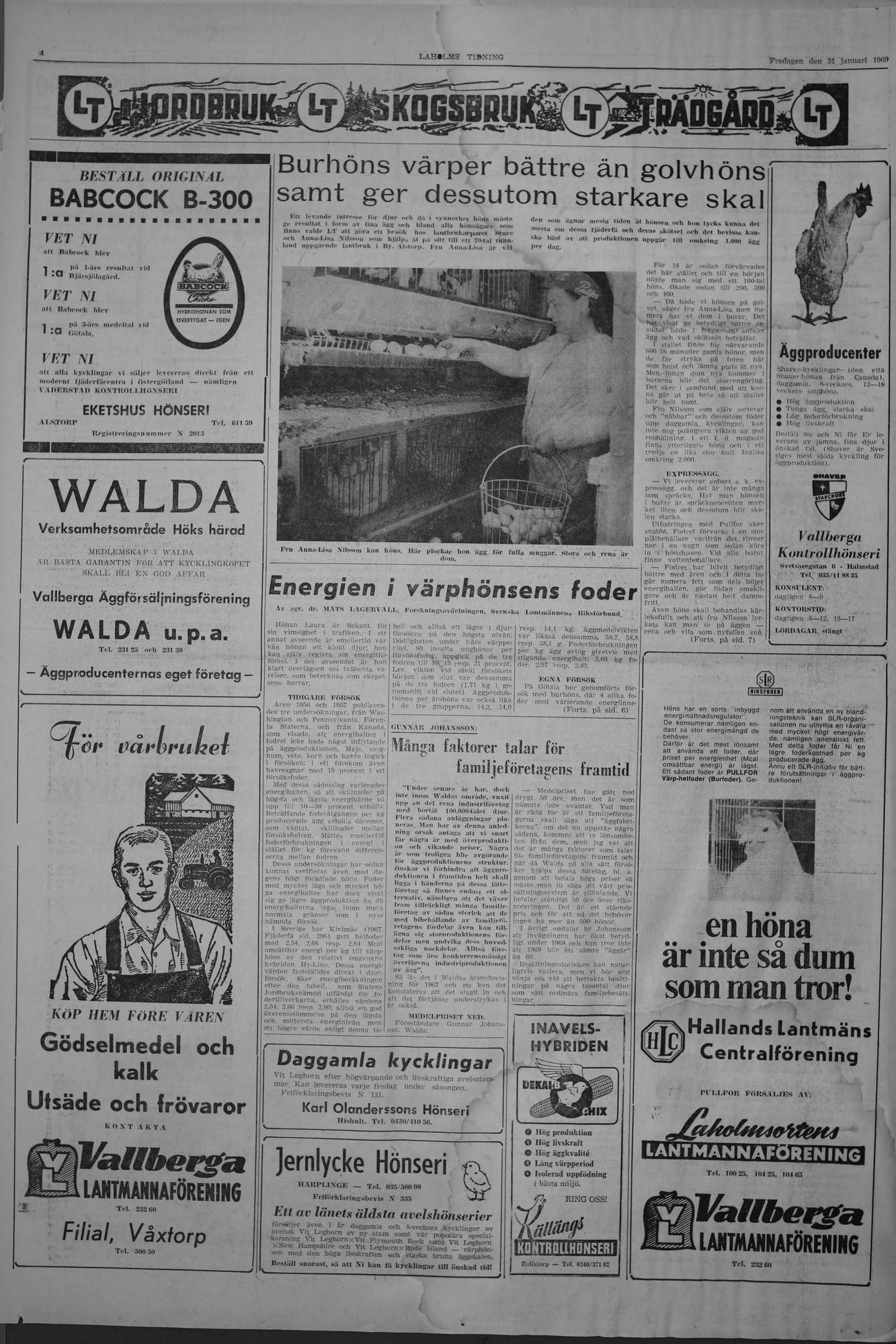 Laholms Tidning Fredag 31 januari 1969, sida 4