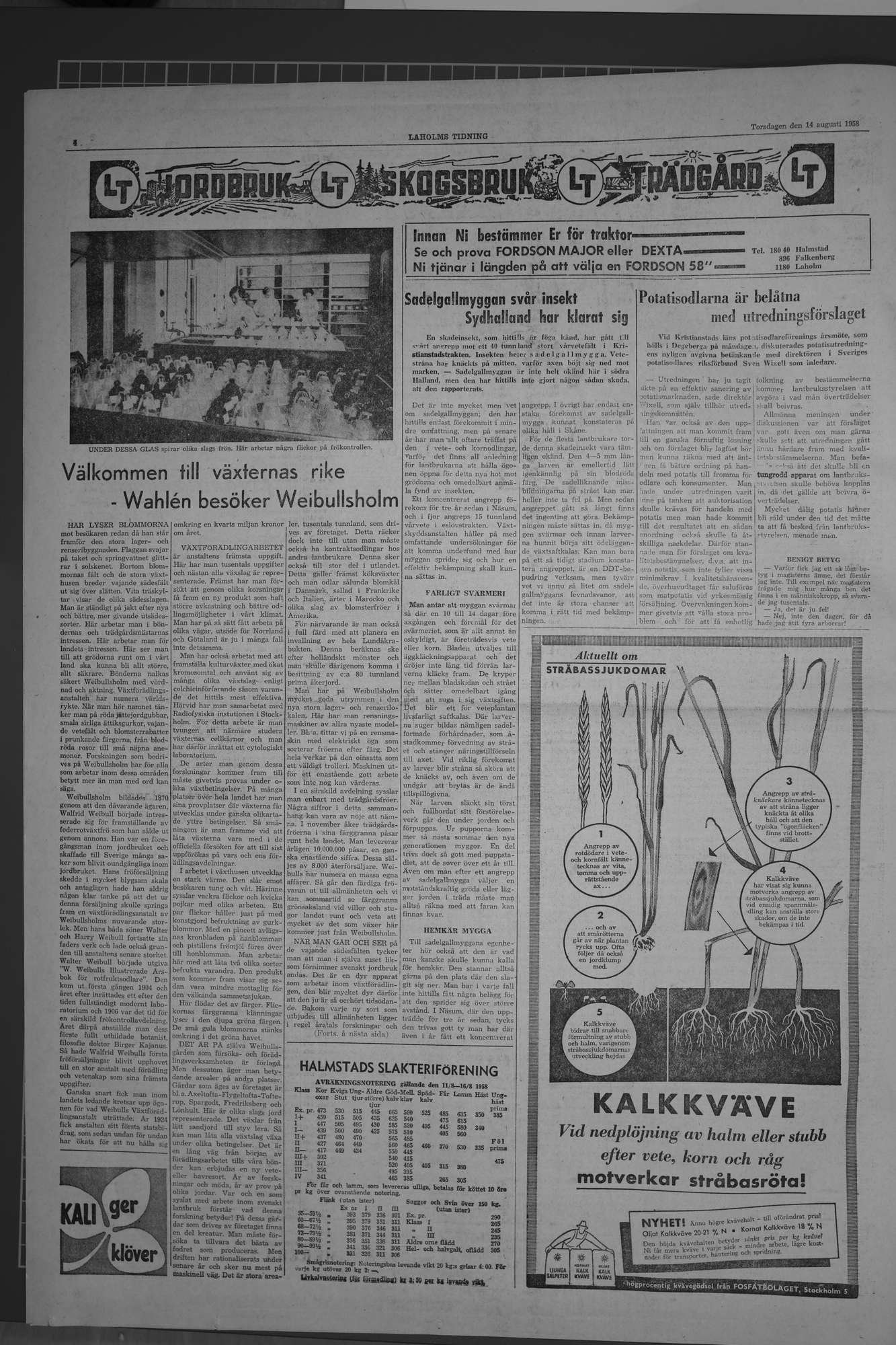 Laholms Tidning Torsdag 14 augusti 1958, sida 4