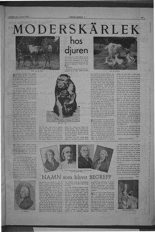 Sida 5