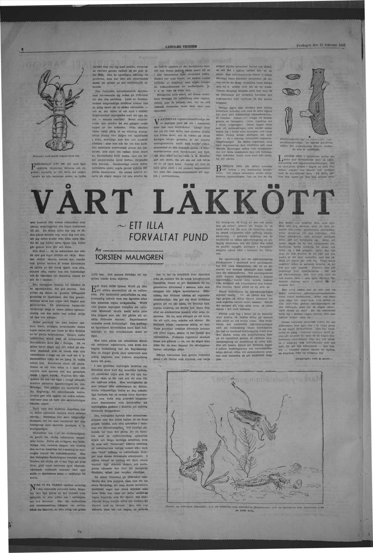 Laholms Tidning Fredag 21 februari 1947, sida 6