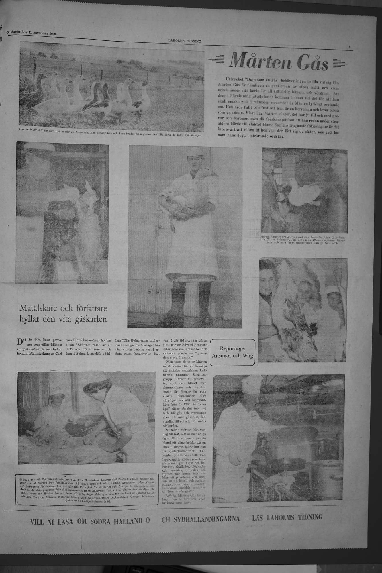 Laholms Tidning Onsdag 11 november 1959, sida 7