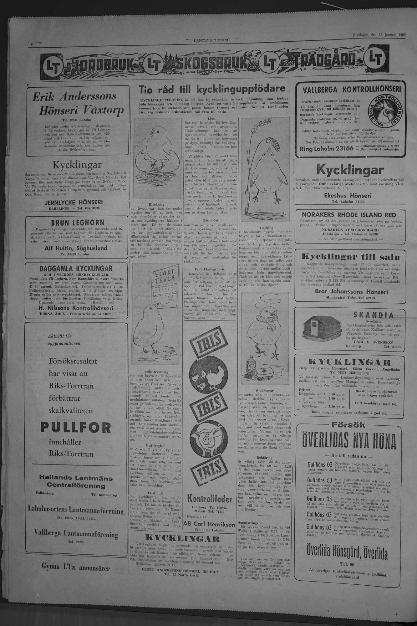 Laholms Tidning Fredag 15 januari 1960, sida 4